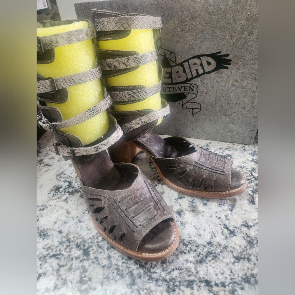 Rare Freebird by Steven Pixie